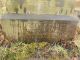 image of grave number 432732